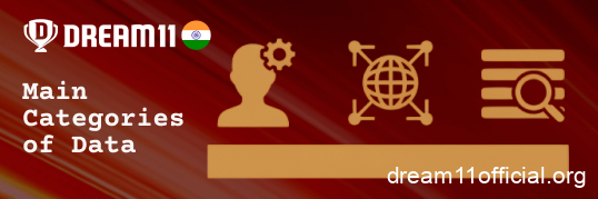 Types of personal data collected by Dream11 India
