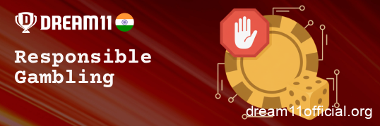 Play responsibly with tools from Dream11 India