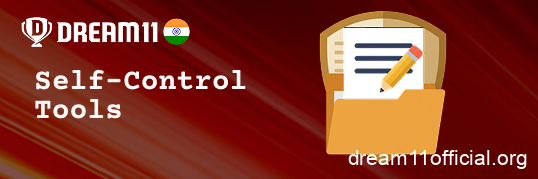Use deposit and time limits on Dream11 India