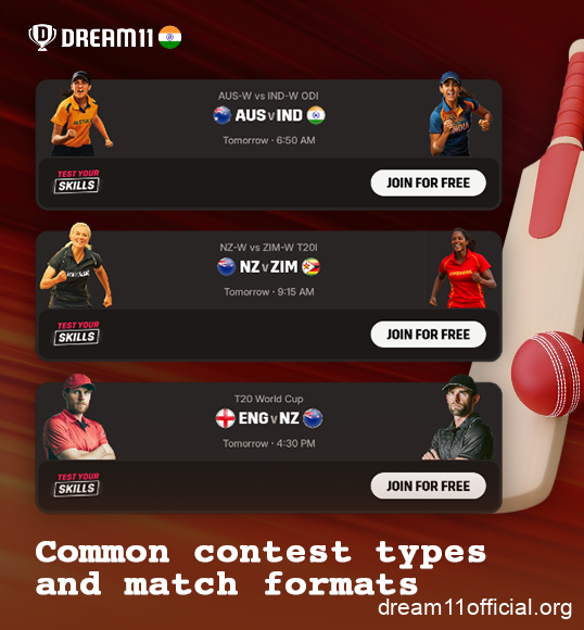 Cricket match format in Dream11 India