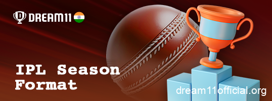 About the IPL tournament format in Dream11 India