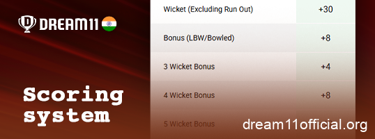 How points are scored in a fantasy IPL match on Dream11